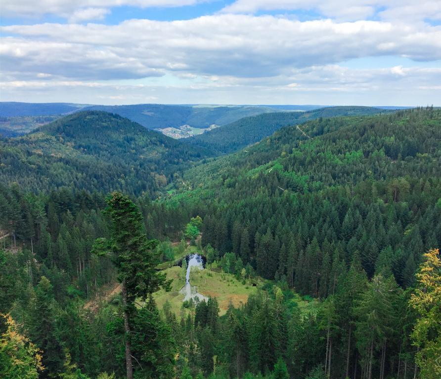 Kraehenbad Hotel Alpirsbach Bagian luar foto