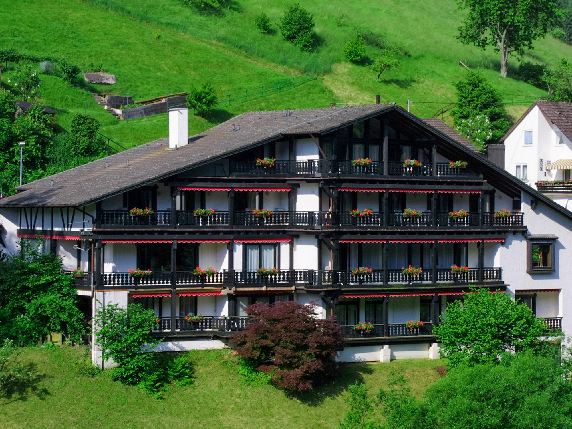 Kraehenbad Hotel Alpirsbach Bagian luar foto